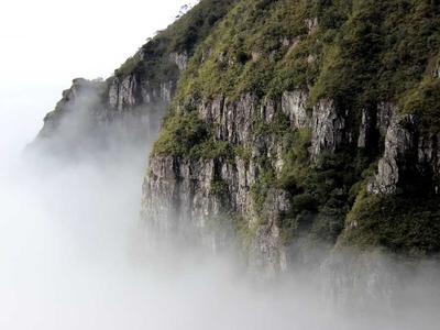 巴西与阿根廷战术对比分析图，两队阵容与数据深度解读
